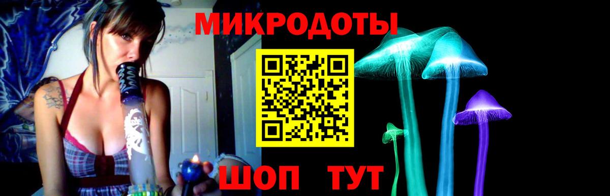 Псилоцибиновые грибы Magic Shrooms  Вход с VPN  Шали  Псилоцибиновые грибы Psilocybine cubensis 